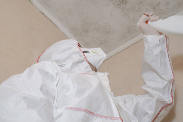 Best Industrial Mold Remediation in Spry, PA